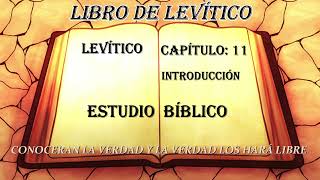 LEVÍTICO CAPÍTULO 11 ESTUDIO BIBLICO [upl. by Nowyt]