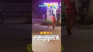 World best loyal animals ❤️🤩funny rahulpets funnypets doglover shortsfeed [upl. by Enoid]