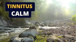 Tinnitus Relief Sound Therapy  Ambient River White Noise [upl. by Behlke]