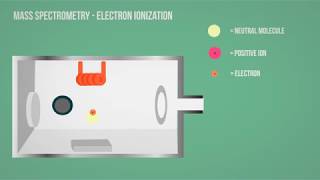 MS  Mass Spectrometry  Electron Ionization Animation [upl. by Nottnerb770]