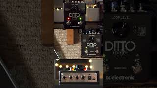 TC Electronic Ditto X2 Stereo Looper pedaloftheday tcelectronic looper looperpedal ditto [upl. by Ume]