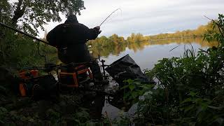 Barnsley feeder pairs 2023  Fleets Dam raw footage from peg 37  BAGUPTV RAW [upl. by Wohlert]