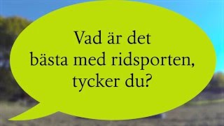 Ridsport en idrott för alla [upl. by Nalyad]