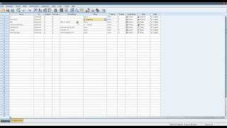 Korrelationen  Erläuterung amp Fallbeispiel mit SPSS [upl. by Gavin]