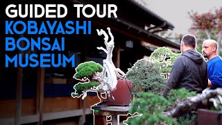 Secrets of ShunkaEn Bonsai Museum – Tokyo’s Legendary Collection [upl. by Nah546]