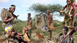 Witness the amazing hunting skills of the Hadzabe Tribe Bushmen full documentary [upl. by Nickie]