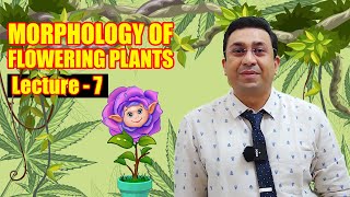 Morphology of Flowering Plants l lecture 7 l Biology l NEET [upl. by Grogan520]