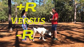 Positive Reinforcement vs Negative Reinforcement  Dog Training [upl. by Yesac158]