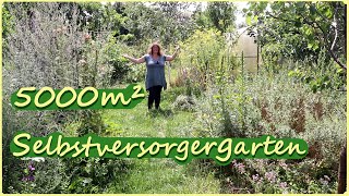 Riesen Gartenrundgang im Selbstversorgergarten [upl. by Rustie930]