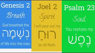 How the Hebrew Bible Uses Ruach Nefesh and Nshamah [upl. by Haisej]