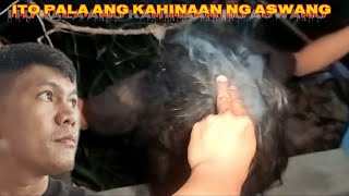 ITO PALA ANG KAHINAAN NG ASWANG jasperghosttv5145 [upl. by Namien]