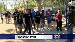 Hundreds Participate In Arthritis Walk In Exposition Park [upl. by Eiddal]