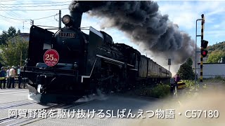 阿賀野路を駆け抜けるSLばんえつ物語・C57180、新潟県阿賀町 [upl. by Esirahs377]