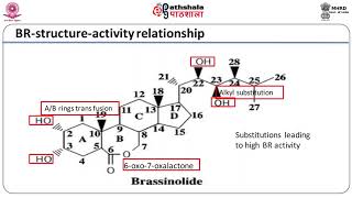 Brassinosteroids [upl. by Ellekcim967]