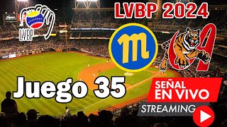 🔴 En Vivo Navegantes del Magallanes vs Tigres de Aragua LVBP 2024 en vivo hoy [upl. by Aernda]