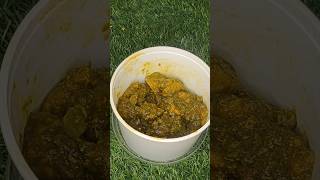 The Perfect Palak Chicken Recipe And Why You Shouldnt Make ItLife2Dine greenchicken howto [upl. by Follmer]