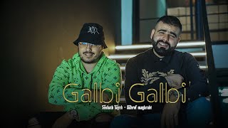 Achraf Maghrabi  Galbi Galbi Feat Sohaib Tayeb  Official Music Video [upl. by Bertha]