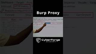 Getting Started with Burp Suite Proxy Web Security Testing Tutorial [upl. by Martsen]