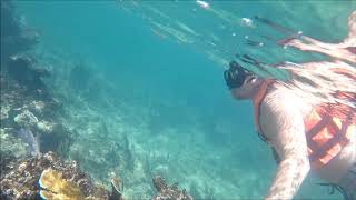 Snorkeling In Mexico Playa Del Carmen Riviera Maya [upl. by Nas]