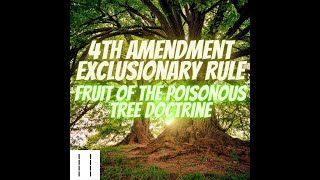 Court 1014th Amendment Terry Stop vs Exclusionary Rule Fruit of The Poisonous Tree Dcotrine [upl. by Thinia]