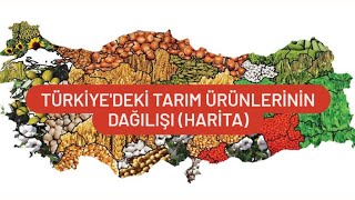 TÜRKİYEDEKİ TARIM ÜRÜNLERİ VE DAĞILIŞLARI [upl. by Waldos]