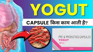 Yogut Capsule Uses Review Benefits Explained in Hindi  Apke Gut Health ka Best Solution [upl. by Icyaj994]