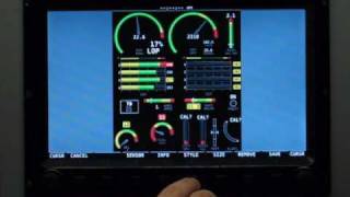 Dynon SkyView EMS Settings [upl. by Brittan]