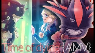 Shadow The Hedgehog Time Of Dying AMV [upl. by Pudens]