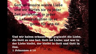 jesuschristus bibelverse zitate sprüche Bibelvers 1 Johannes Dank sei Jesus Christus [upl. by Iturk]