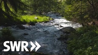 Südtirol Gardasee Adria  die Etsch  SWR Geschichte amp Entdeckungen [upl. by Ida633]