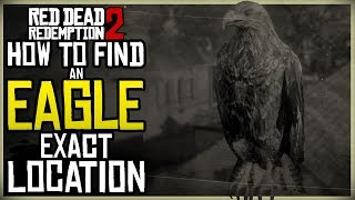 WHERE TO FIND EAGLES IN RED DEAD REDEMPTION 2 EXACT EAGLE MAP LOCATION [upl. by Novyaj902]