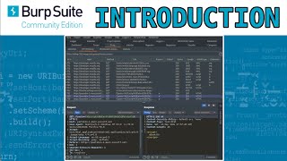 Introduction to Burp Suite for beginners [upl. by Arannahs]