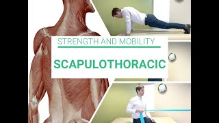 Scapulothoracic strength and mobility [upl. by Jeanette]