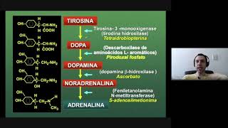 Farmacologia dos Agonistas Adrenérgicos  Parte 2 [upl. by Ahseka]