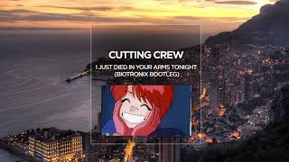 Cutting Crew  I Just Died In Your Arms Tonight Biotronix Bootleg [upl. by Currie395]