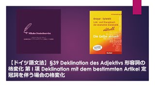 【ドイツ語文法】§39 形容詞の格変化 第 I 項 Deklination mit dem bestimmten Artikel 定冠詞を伴う場合の格変化 [upl. by Nolyar]