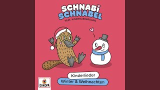 Schneemann Schneemann wie siehst du aus [upl. by Eelyram]