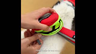 Dog harness set dogcollar mascotas dogtags [upl. by Nydnarb]