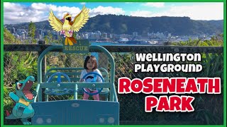 ROSENEATH PARK  Longest and Fastest Slides in Wellington [upl. by Ailhad]