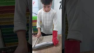 barracuda fish cutting super fast [upl. by Lehcer]