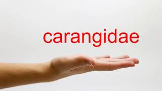 How to Pronounce carangidae  American English [upl. by Ennaear]