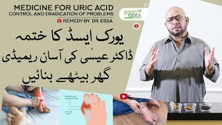 Uric Acid home treatment remedy by Dr Essa  controls uric acid amp eradicates problems  Green Roots [upl. by Arimlede]