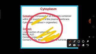 Lecture 2 Cell organelles part 1 [upl. by Lindeberg551]