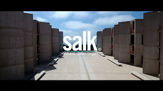 Salk architecture  concrete [upl. by Rondi169]