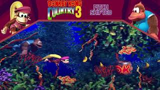 Water World Pitch Shifted  Donkey Kong Country 3 [upl. by Nuhsed93]