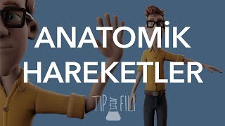 Anatomik hareketler 3d animasyonlu anlatım [upl. by Pennie]