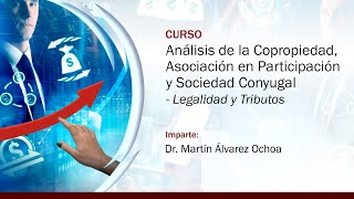 Análisis de la Copropiedad Asociación en Participación y Sociedad Conyugal Legalidad y Tributos [upl. by Hajan]