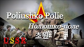 소련 군가 초원  Полюшкополе  Poliushko Polie [upl. by Ayahs]