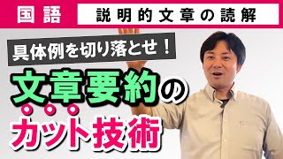 【受験国語】 説明的文章02 具体内容を切り落とす！文章要約のカット技術 [upl. by Cleopatre869]