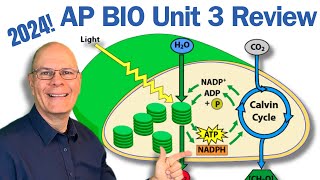 Enzymes Photosynthesis and Respiration Expertly Explained  AP Bio Unit 3 [upl. by Jaret]